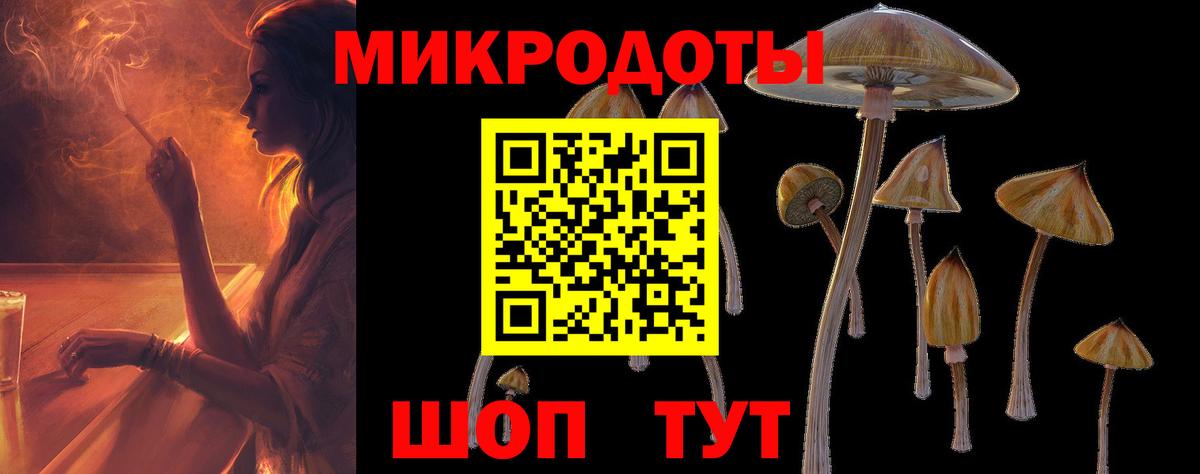 Свободный  Галлюциногенные грибы прущие грибы  Вход с VPN 