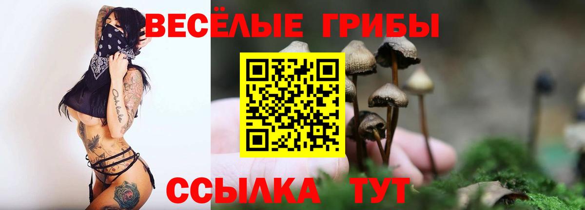 Галлюциногенные грибы мухоморы Свободный